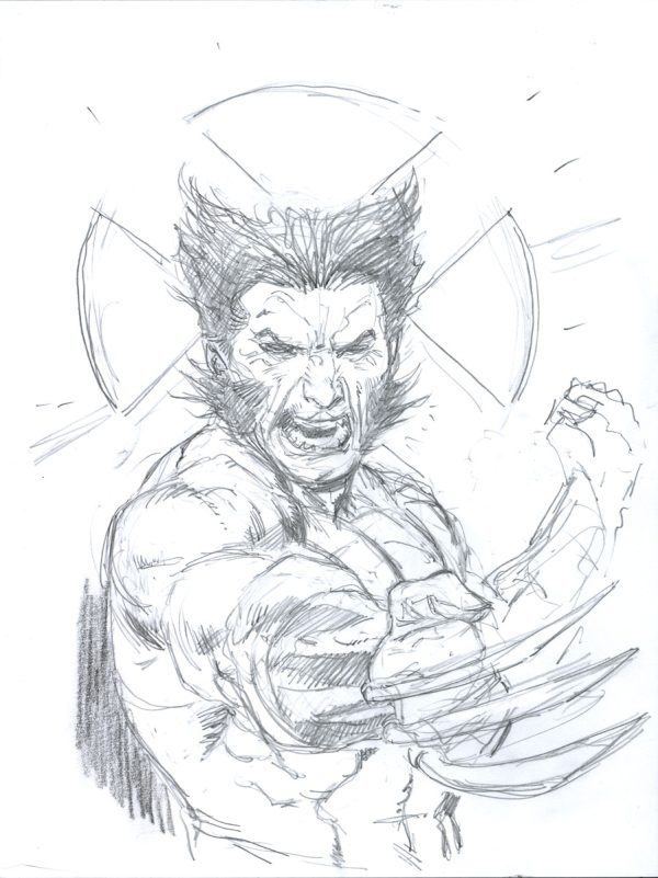Wolverine Prelim by Lee Weeks