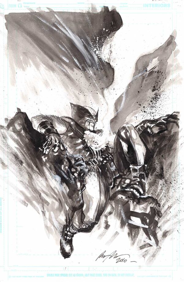 Wolverine Unused Cover by Rafael Albuquerque