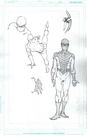 Spider-Man Study by Rafael Albuquerque