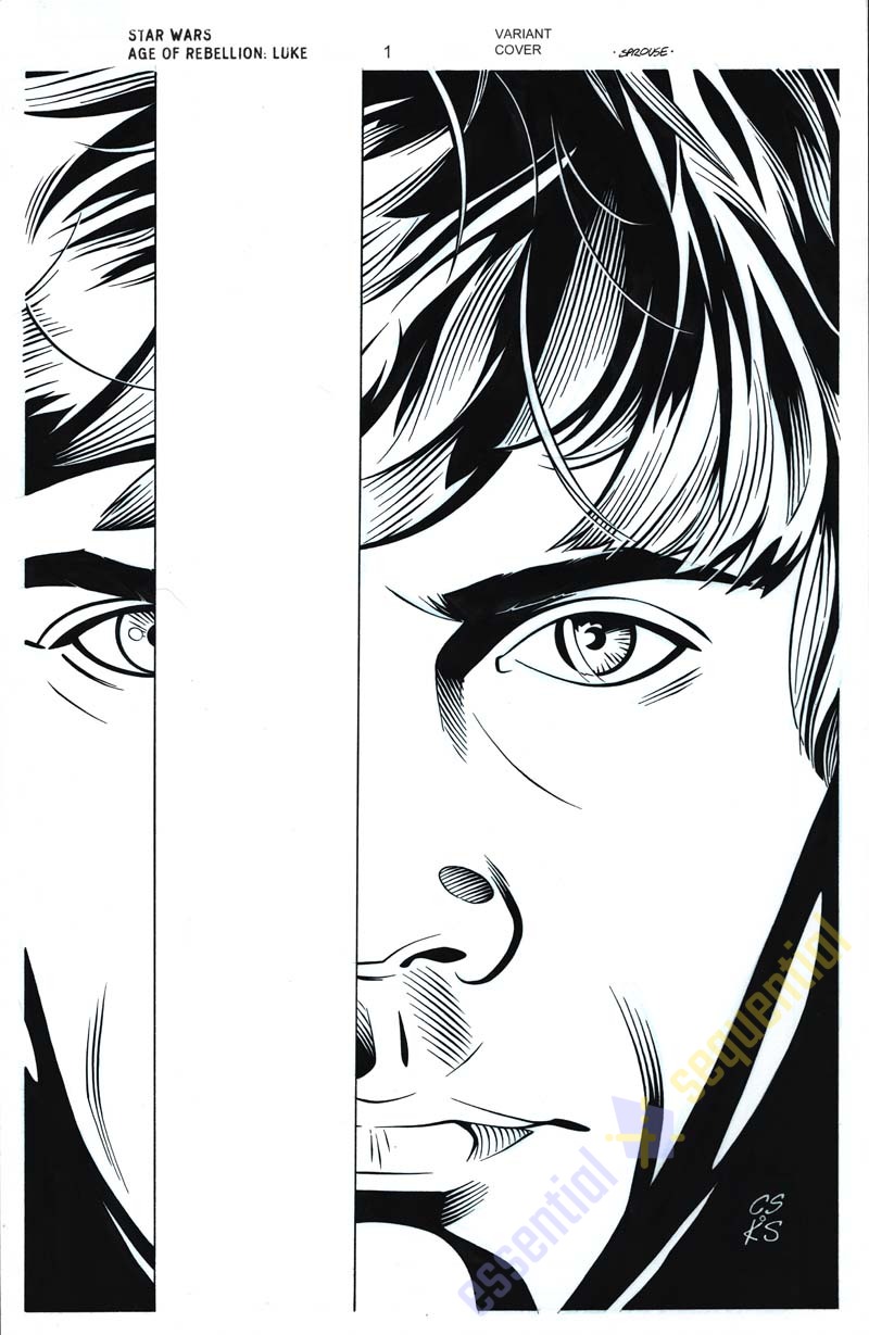 Star Wars: Age of Rebellion Luke Skywalker #1 Variant Cover by Chris Sprouse and Karl Story 1 Star Wars: Age of Rebellion Luke Skywalker #1 Variant Cover by Chris Sprouse and Karl Story